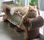 Imperial Cat user submission -Fins and Feathers
